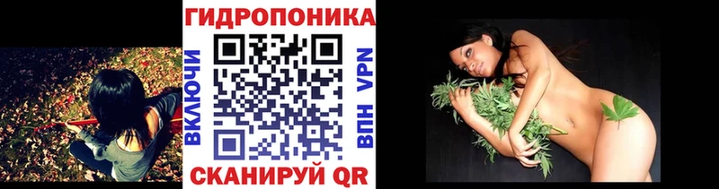 Бошки марихуана Amnesia  закладки  Прохладный 